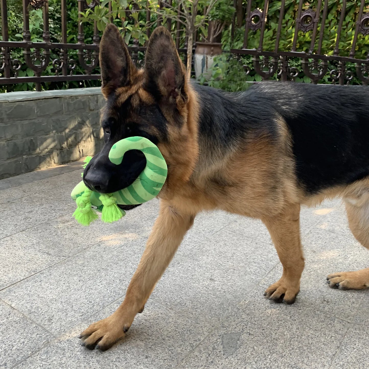 Dog Plush Toy Cross Border Plush Filled Striped Chameleon Lizard Squeaking Pet Toy Dog Toy Fleece Squeak Toys