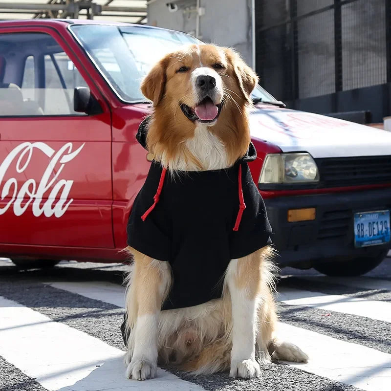 Warm Cotton Pet Dog Clothes Letter Dog Hoodie Design Cool Dog Pullover For Puppy Small Medium Dogs Chihuahua Coats