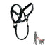 Nylon Dog Muzzle for Small Medium Large Dogs Adjustable Anti Barking Biting , Control Pet Leader Dog Head Collar Halter Leash