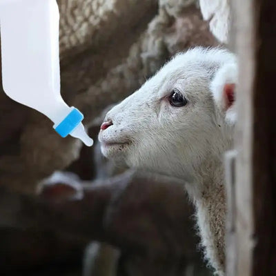 Lamb Feeding Bottle Small Animal Bottle Lamb Bottle Lamb Nursing Bottles With Soft Nipple Goat Bottle Lamb Nursing Bottles