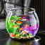 Plastic Clear Round Fish Bowl Aquarium Keeper Tank Vase Pot for Snow Living Room Tabletop Ecological Fish Tank Self