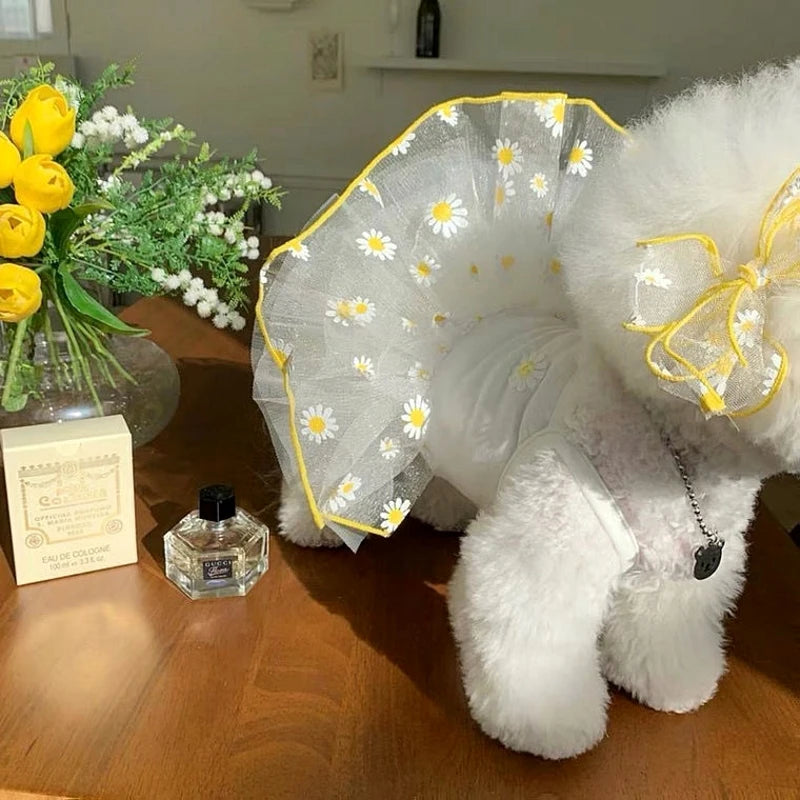 Luxury Summer Dog Dress Princess Style Chihuahua Bichon Korean Striped Skirt Lace Puppy Costume 2025 New Summer Fashion for Dogs