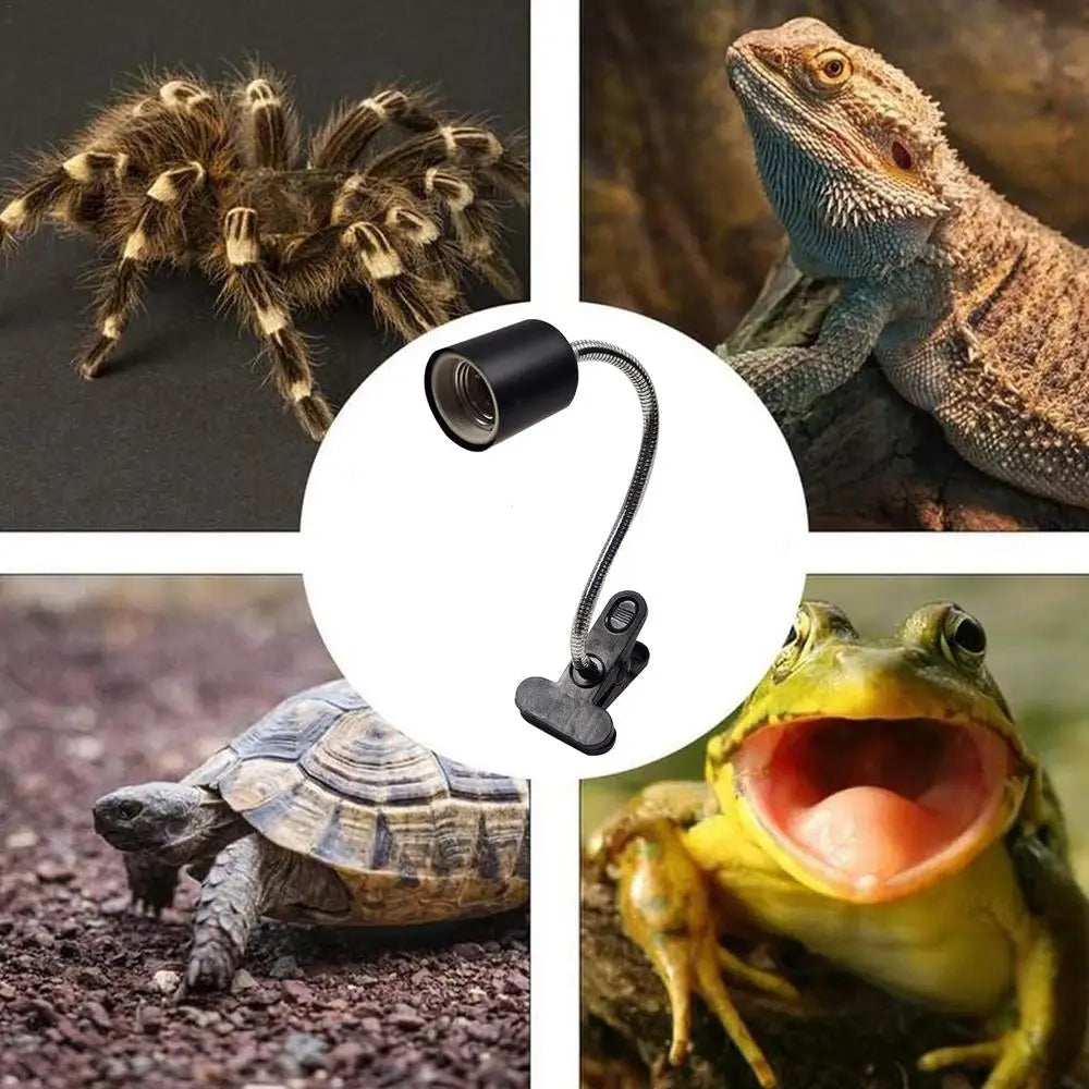 Reptile Heating Bulb 220V Habitat Light Lamp Basking Heat Lamp For Reptiles Turtle Heat Lamp Bulb For Bearded Dragon Reptile