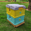 Beekeeping Hive 3 Tier 10 Frames Lang Style Honey Bee Hive Insulated Plastic Multi-Purpose Plastic Bee Hive