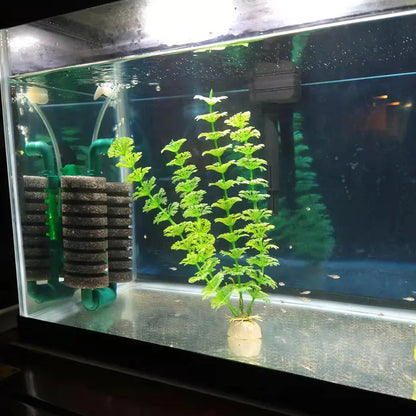 New Bio Sponge Filter For Aquarium Fish Tank Shrimp Pond Air Pump Biochemical Filtration Noiseless Foam Aquarium Accessories