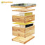 Wholesale bee hives beekeeping wooden langstroth beehive with frame