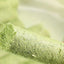 Cat Grass Sticks Grinding Rod Chew Toy Natural Grass Molar Rod Increase Appetite Hairball Removal Teeth Cleaning Teeth Caring