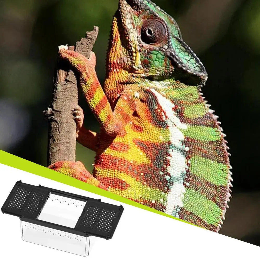 Lizard Tank Transparent Snake Tank Lizard Terrarium Small Reptile Habitat Breeding Box Amphibians Enclosure Sliding Cover Keeper