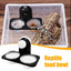 Reptile Food Bowl Feeding Bowl For Geckos Reptile Food Bowls And Water Dish For Lizard Small Pet Feeder Ledge Accessories