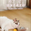 Cat Interactive Ball Training Self-moving Kitten Electric Cat Ball Toys Electronic Automatic Rolling Magic Ball Toys for Cat