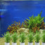 20/10pcs/set Aquatic Plants Fixed Ring Set Anti-Floating Water Plant Anchor Weights Pot Aquarium Decoration Fish Tank Landscape