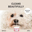 20g Pet Tear Stain Powder Dog Cat Eye Tear Stain Remover Powder Bichon Pomeranian Eye Stain Cleaner Pet Grooming Accessories