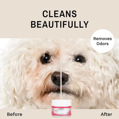 20g Pet Tear Stain Powder Dog Cat Eye Tear Stain Remover Powder Bichon Pomeranian Eye Stain Cleaner Pet Grooming Accessories