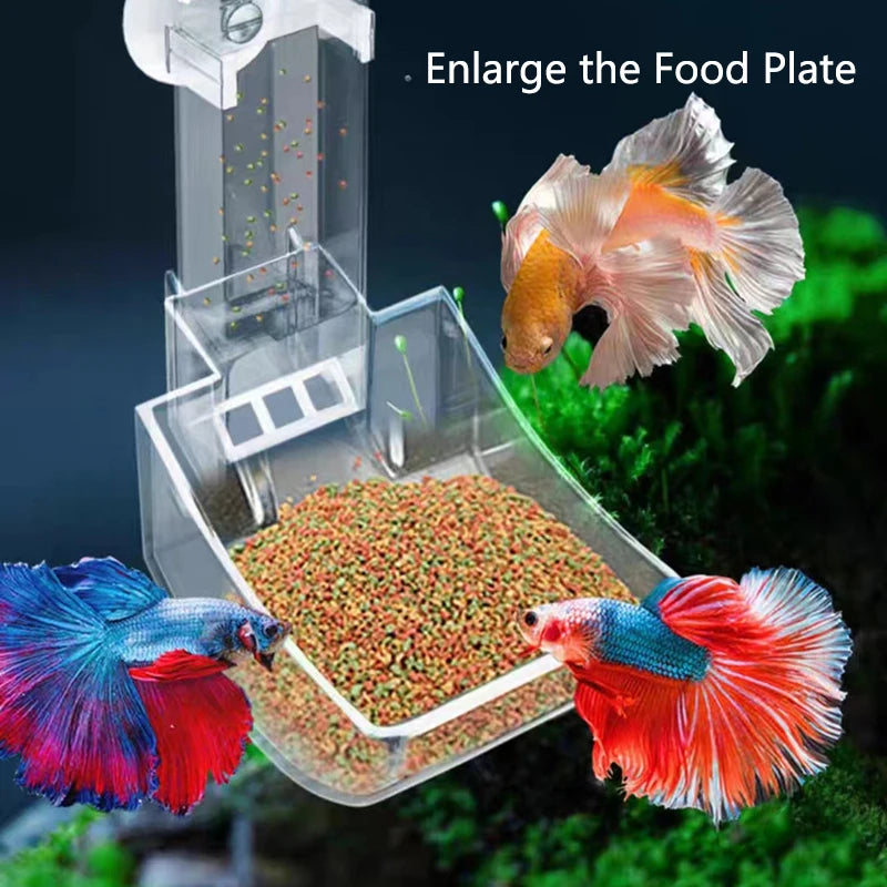 Highly Transparent Acrylic Aquarium Feeder Tube Dish Transparent Fish Tank Shrimp Snail Shrimp Food Feeding Bowl Accessories