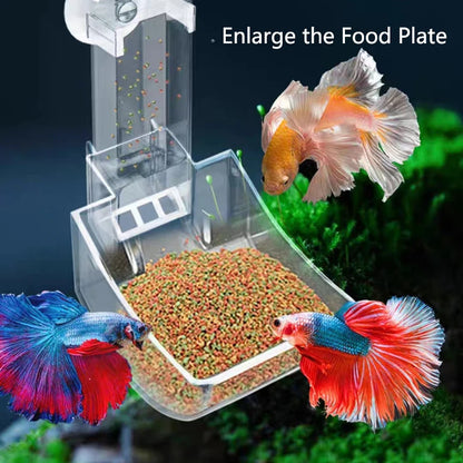 Highly Transparent Acrylic Aquarium Feeder Tube Dish Transparent Fish Tank Shrimp Snail Shrimp Food Feeding Bowl Accessories
