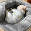 Deep sleep hexagonal dog sofa French fighting kennel dog bed fully removable and washable pet bed thick warm dog cushion