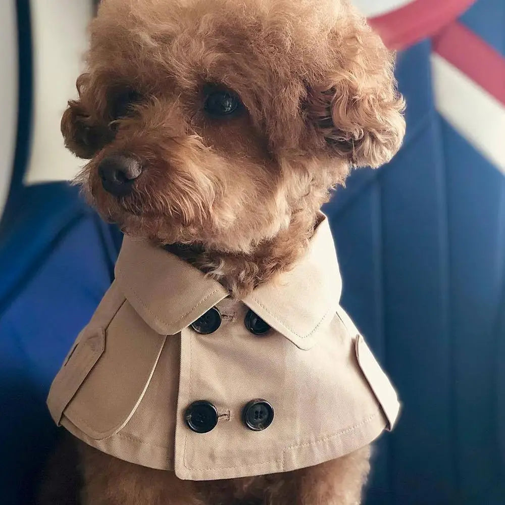 British Style Dog Winter Clothes Pet Clothes for Small Medium Dogs Teddy Chihuahua Puppy Pet Teddy Bib Windbreaker Cloak