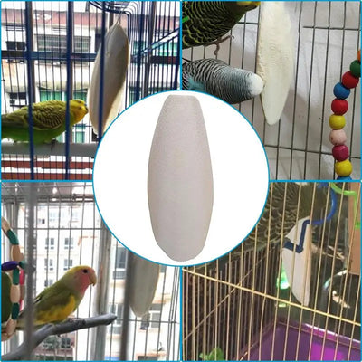 10pcs Cuttlefish Bone For Birds Natural Cuttlefish Bone Parrot Chewing Cuttle Bone Health Supplies Cuttlefish Bone Bird Food