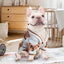 Autumn Winter Dog Clothes Chihuahua Bichon Pet Dog Sweater Soft Striped Cardigan Coat Puppy Warm Knitted Jacket Dog Girl Costume