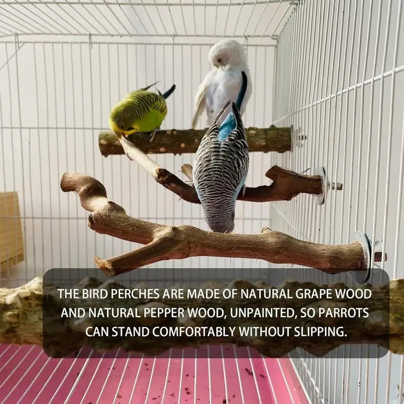 Parrot Perch 5PCS Natural Wooden Cockatiel Perch Exercise Training Branches Parrot Stand Cage Accessories For Small Or Medium