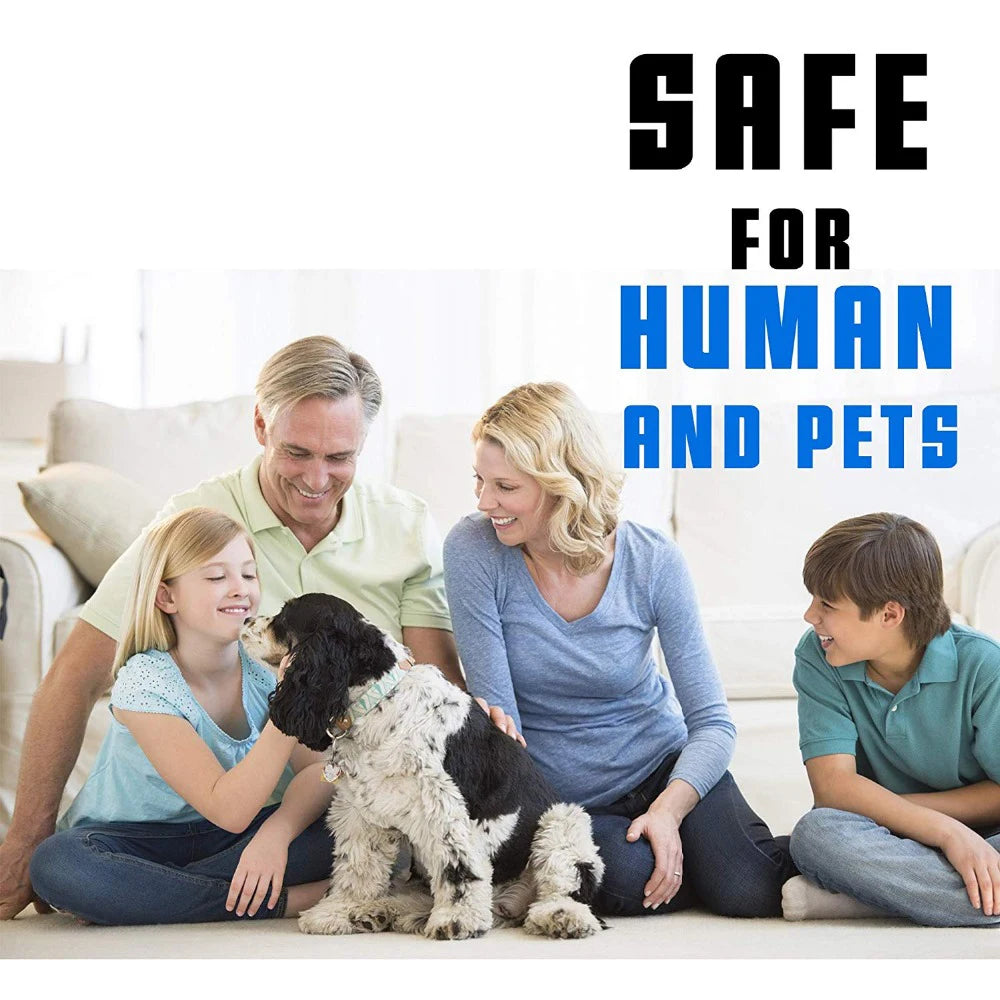 8 Month Protection Flea & Tick Collar Insect Prevention Silicone Cat Necklace Wear Resistant Anti-mosquito Pet Supplies Teddy