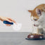 Dog Food Scoop Cat-Ear Shape Food Scoopers Kitten Food Measuring Cups Clear Convenient Scoops Bag Sealing Clip for Dry Dogs