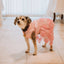 Dog Dresses Puppy Wedding Dress Female Dogs Wedding Costume Girl Dogs Rose Dress for Doggy Teddy Chihuahua Pet Princess Clothing