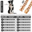 19MM Chew Proof Gold Dog Chain Collar Stainless Steel  Collars with Solid Buckle Pet Chains for Large Dogs