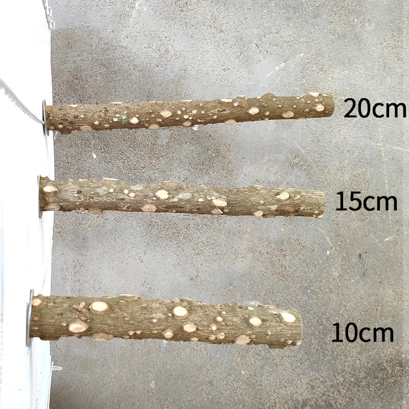 10/15/20cm Birds Accessories Equipment for Parrots Supplies Pet Raw Wood Tree Branch Stand Rack Perches Chew Bite Toys Stick