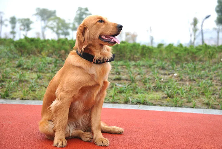 Heavy Duty Wide Military Thick Dog Collars for Large Dogs Adjustable Strong Nylon Tactical Pet Collar with 2-Rows Metal Buckle
