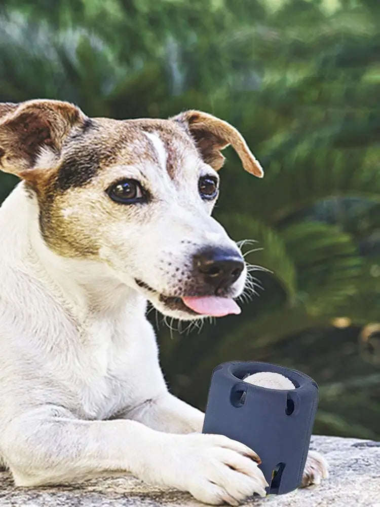 Dog Tennis Tumble Interactive Toy Pet Training Ball Rubber Heavy Duty Tennis Ball Cup Toy Puppy Chewing Dispensing self Play Toy