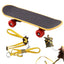 Turtle Feeding Ball Fruit Vegetable Holder with Training Skateboard 2 Treat Balls Turtle Enrichment Toys for Tortoise Turtle