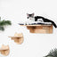 Wall Mounted Cat Climbing Shelves Wooden Furniture Scratcher Jumping Platform Rope Ladder Cat Sleeping and Playing