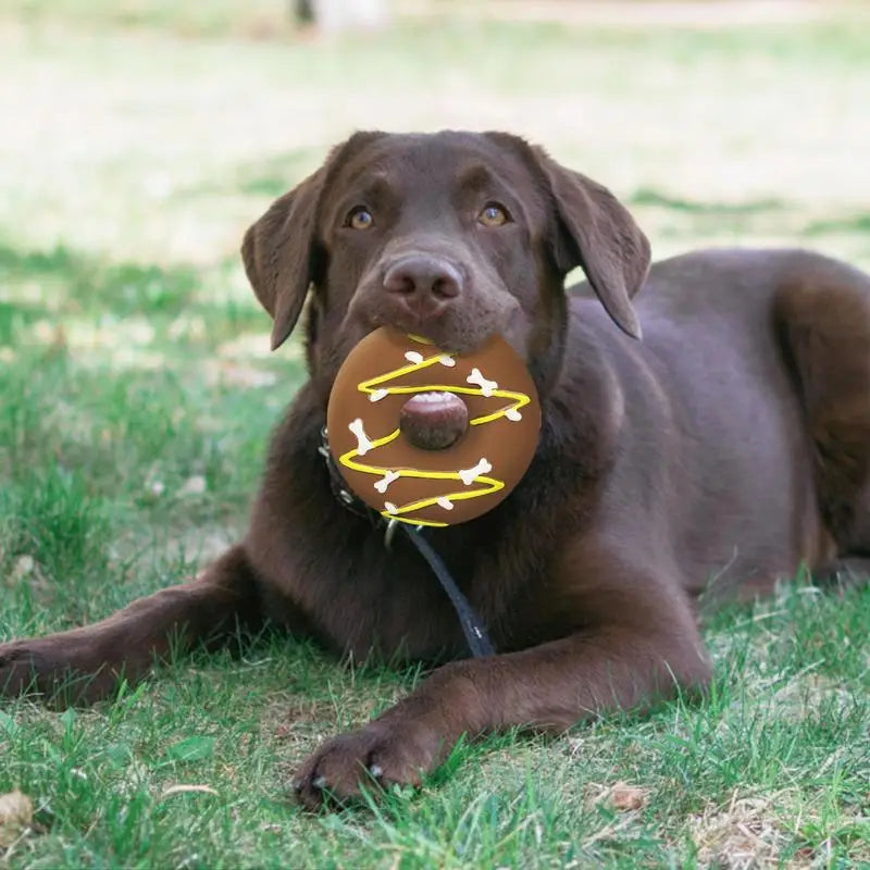Dog Squeaky Toy Assorted Donut Dog Toy With Squeakers Soft Pet Toy For Puppy Durable Dog Toy For Exercise Chewing Ability And