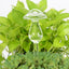 8 Styles Houseplant Automatic Self Watering Glass Bird Watering Cans Flowers Plant Decorative Clear Glass Watering Device