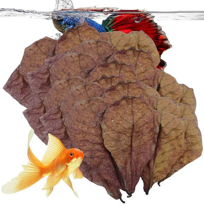 Terminalia Catappa Leaves Betta Shrimp Leaves PH Balance Water Conditioner for Aquarium Turtles Shrimps Habitat Accessory