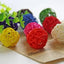 10pcs Primary Color Sepak Takraw Parrot Chewing Toy Ball Pet Bird Foot/foot Scratching/foot Toy Pet Chewing Toy Sepak Takraw