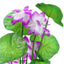 Uxcell Pond Flower Floating Lotus Leaves Artificial Flower Fake Lotus Plant Water Micro Landscape for Aquarium Garden Decoration