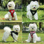 Cat Harness and Leash Escape Proof Adjustable Vest Harnesses for Cats Reflective Cat Harness Breathable Soft Kitty Puppy Harness