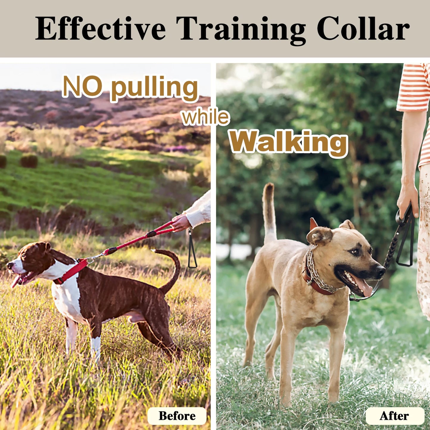 Adjustable Pinch Collar for Dogs,Gold Dog Training Collar Prong Collar with Quick Release Buckle for Small Medium Large Dogs