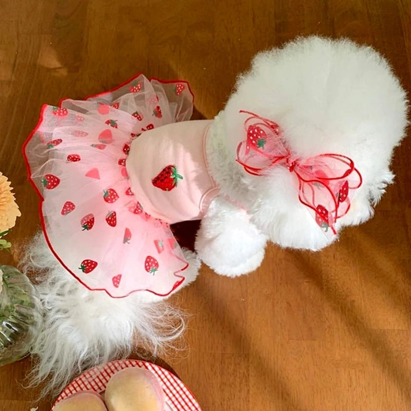 Luxury Summer Dog Dress Princess Style Chihuahua Bichon Korean Striped Skirt Lace Puppy Costume 2025 New Summer Fashion for Dogs