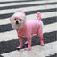 Small Dog Raincoat Hooded Pet Rain Wear Waterproof Teddy Poncho with Rain Boots Adjustable Puppy Dog Full Body Coverage with Hat