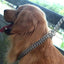 30-71cm Dog Collar Metal Adjustable Double Row Telescopic Chain Triple Ring Explosion-Proof Punch Collar Dog Training Supplies