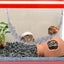 Hermit Crab Toys Hermit Crab Toys Reptile Tank Terrarium Accessories Reptile Tank Terrarium Accessories Hermit Crab Climbing