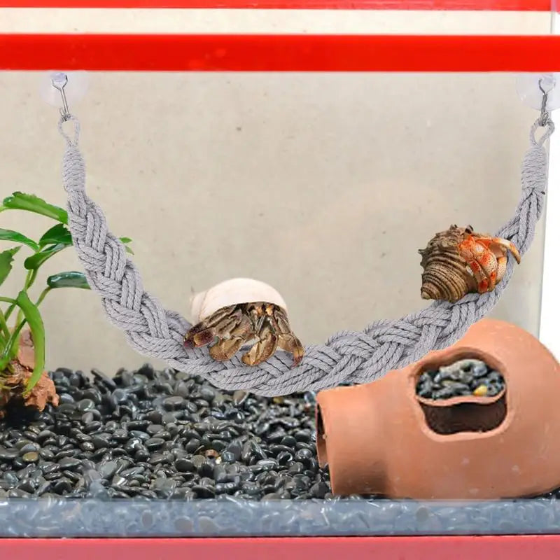 Hermit Crab Toys Hermit Crab Toys Reptile Tank Terrarium Accessories Reptile Tank Terrarium Accessories Hermit Crab Climbing