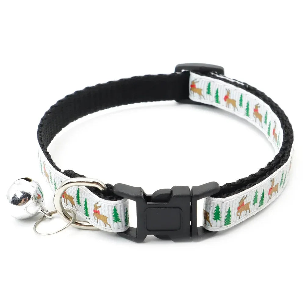 Dog Collar and Leash Accessories Pet Things Training Necklace Strap Dogs Small Harness Bulldog French Large Goods