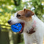 Dog Training Ball Toy Squeaky Treat Ball Interactive Pet Toys Ball Feeder Pet Stimulation Toy Bite-Resistant Puppy Toys