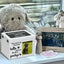 Pet Cremation Box Wooden Photo Frame Memorial Box Large Memorial Urns Pet Ashes Photo Box Dog Urns Pet Cremate Urn For Dog Or