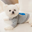 Cute Dog Clothes Bear Letter Print Pet Dog Hoodies Puppy Warm Coat Autumn Winter Dog Sweatshirt Chihuahua Apparel Cat Dlothing