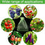50Pcs Fruit Protection Anti-Bird Bags Strawberry Grapes Mesh Bag Plante Vegetable Netting Cover Garden Tool